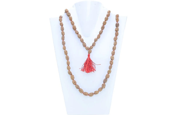 2 Mukhi Indonesian Rudraksha Mala – Harmony, Love & Emotional Balance