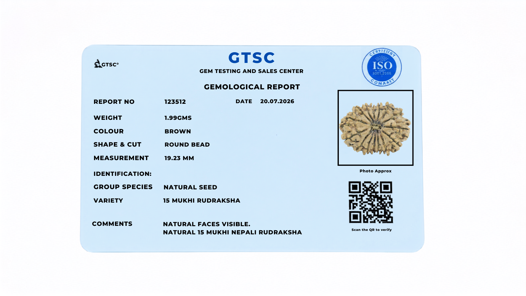 Natural 15 Mukhi Rudraksha (Nepali)