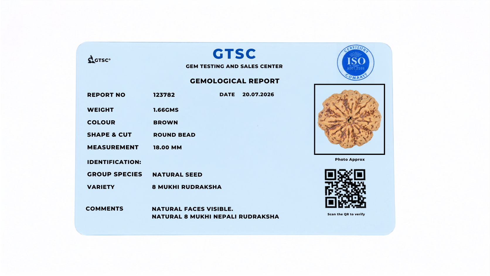 Natural 8 Mukhi Rudraksha (Nepali)