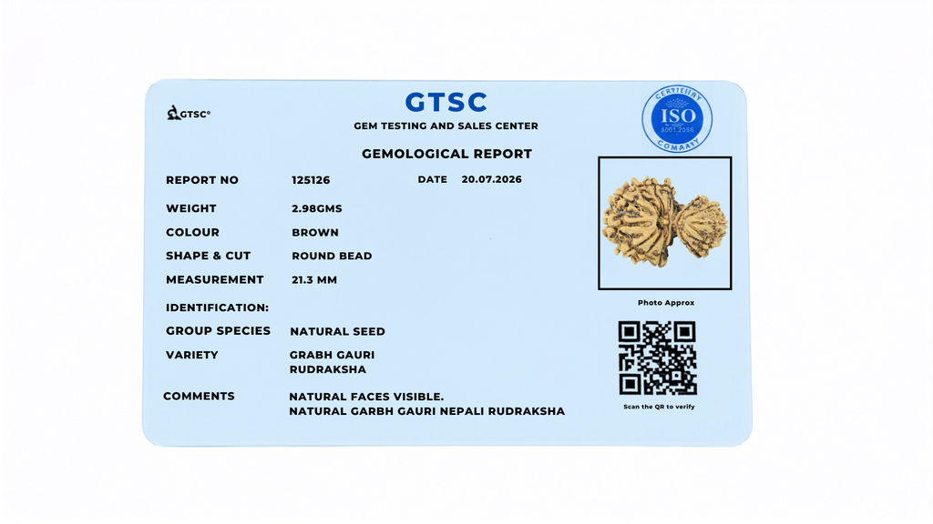 Natural Garbh Gauri Rudraksha (Nepali)