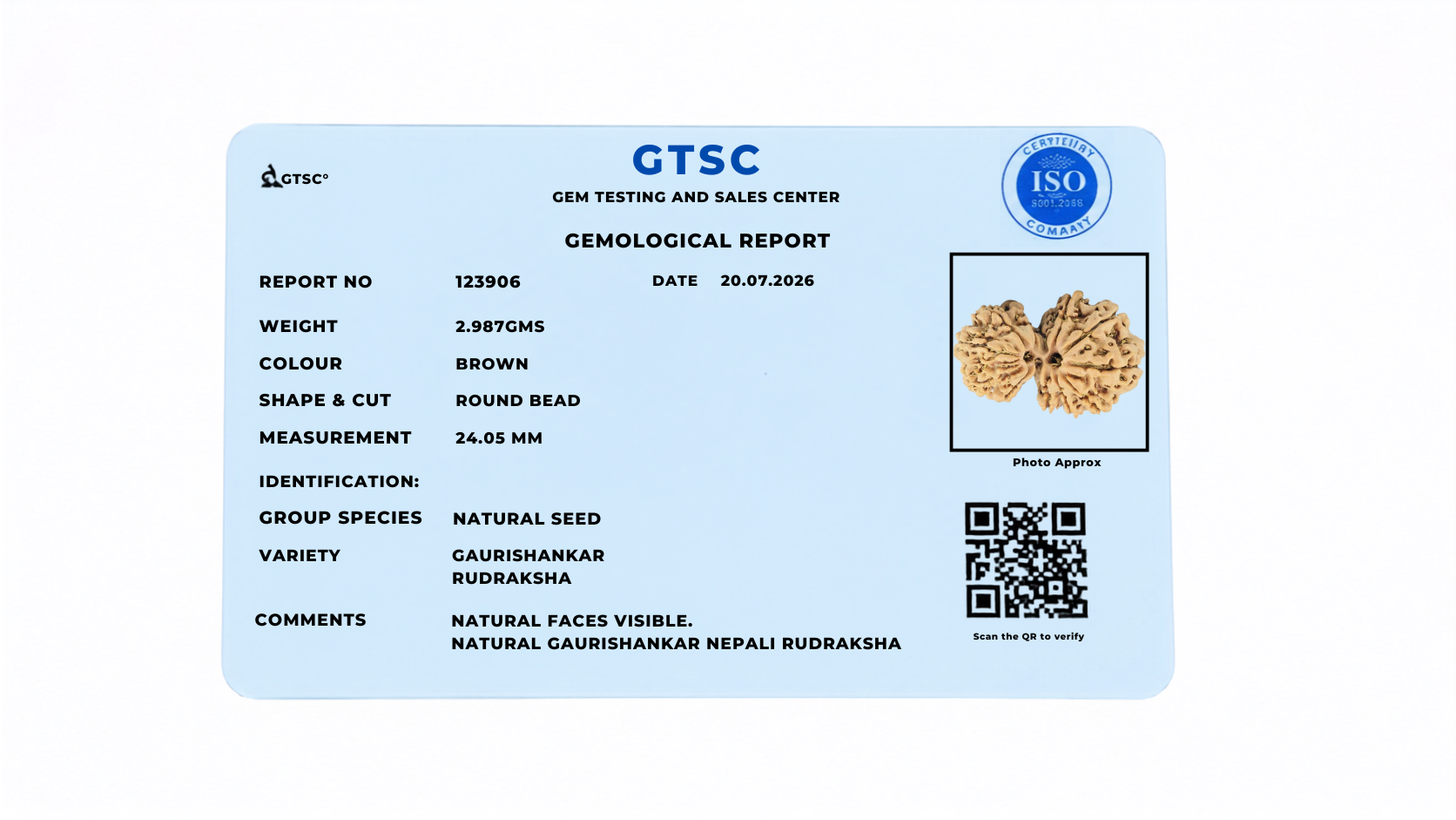 Natural Gaurishankar Rudraksha (Nepali)
