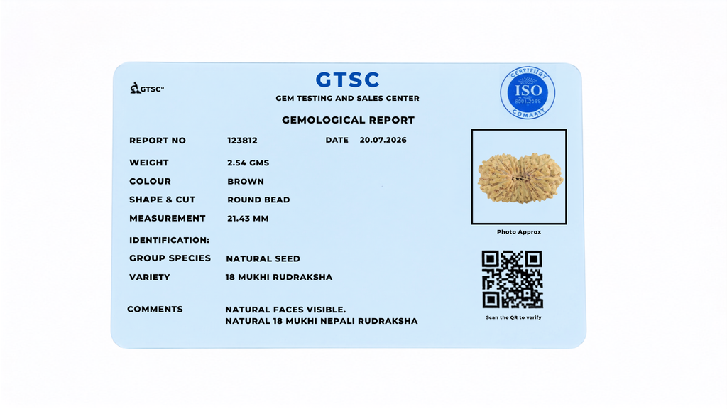 Natural 18 Mukhi Rudraksha (Nepali)