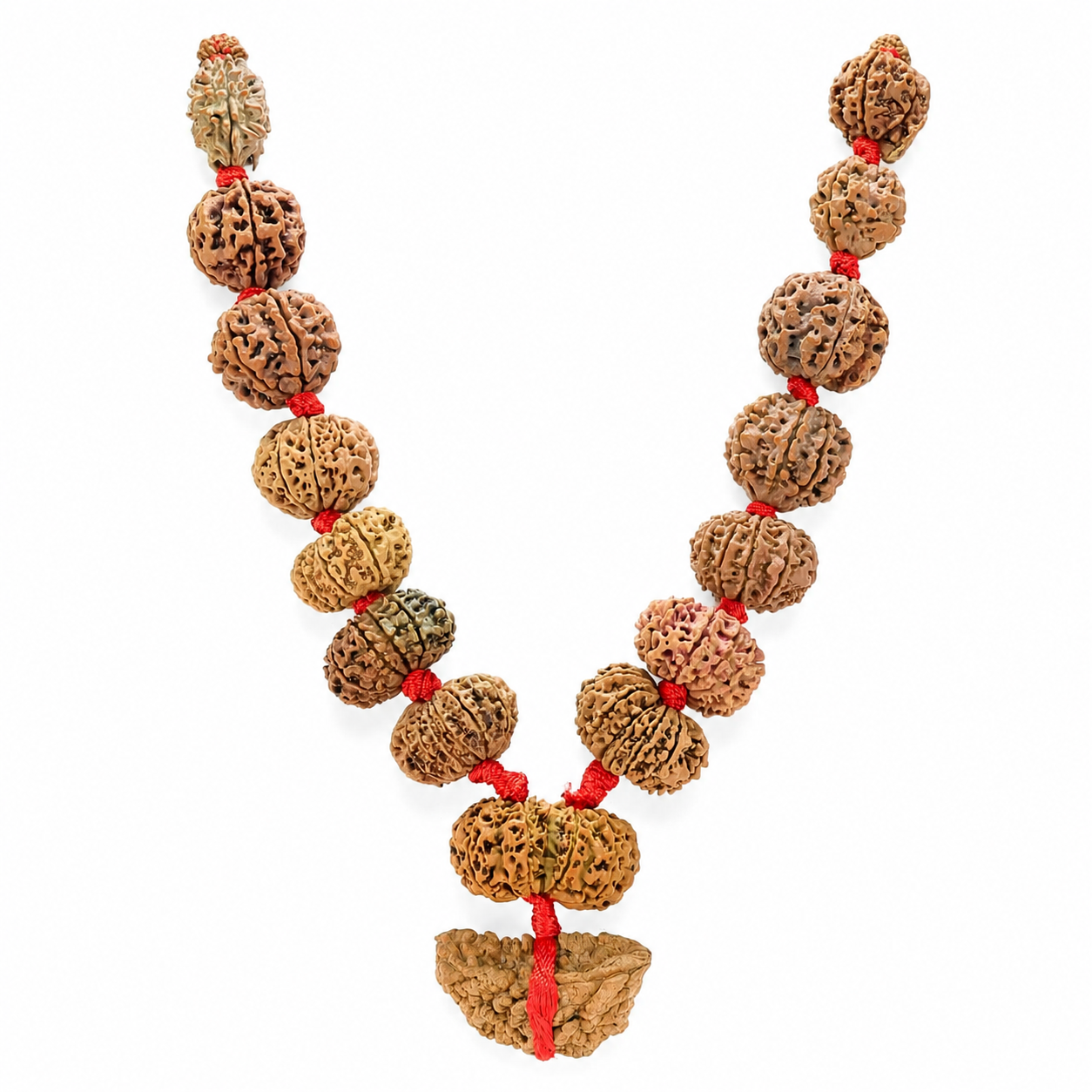 Siddha Mala (1 to 14 Mukhi Rudraksha Mala) – Complete Spiritual Protection & Divine Blessings