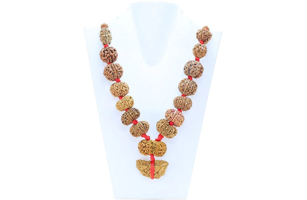 Siddha Mala (1 to 14 Mukhi Rudraksha Mala) – Complete Spiritual Protection & Divine Blessings