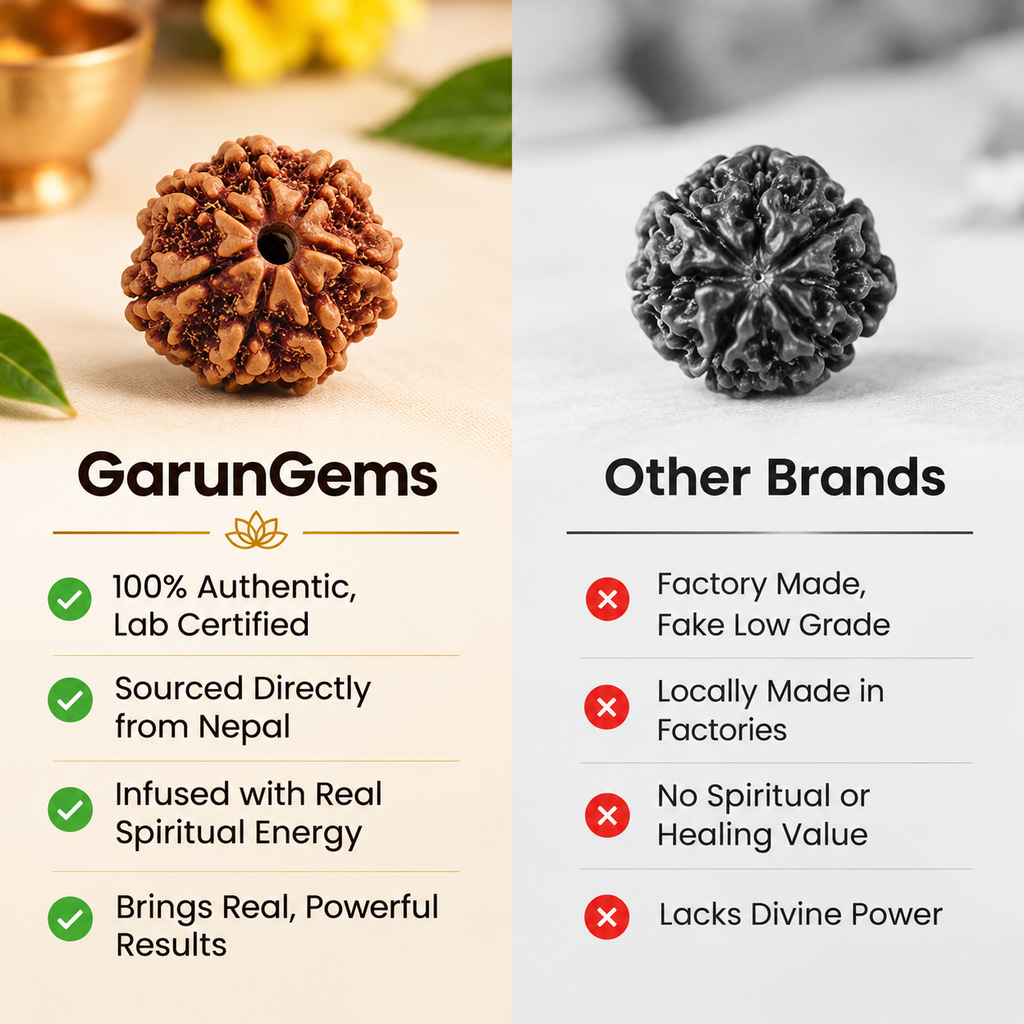 Natural 7 Mukhi Rudraksha (Nepali)