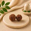 Divine Prosperity Nepali 6 & 7 Mukhi Rudraksha Pair