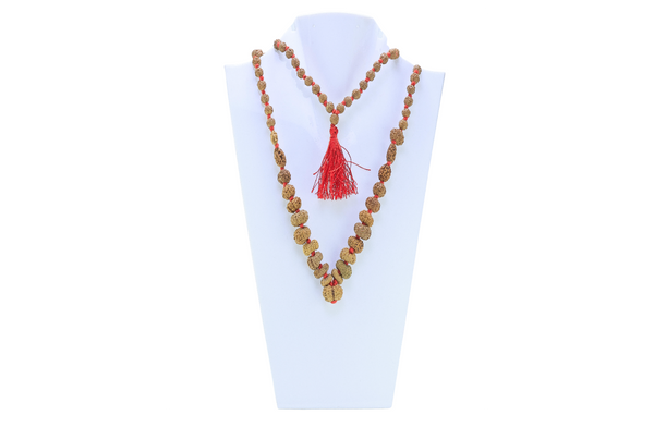 Indrakshi Indonesian Rudraksha Mala – Divine Protection, Wisdom & Spiritual Power